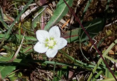 Trail Walking Val-d'Oronaye - J1Tour Ubaye - Photo