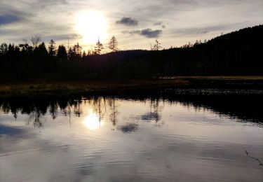 Excursión Senderismo La Bresse - Tour du lac de Lispach - Photo