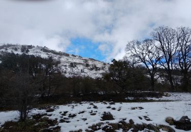 Trail Walking Saint-Vallier-de-Thiey -  Les allumés de la pleine lune 2019 (avant goût) - Photo