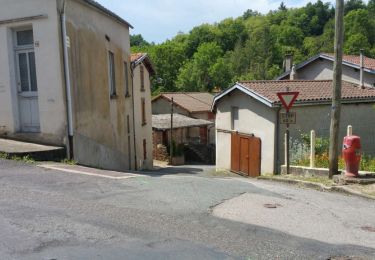 Trail On foot Châteldon - Du Vauziron à la Chasserelle - Photo