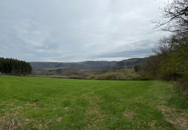 Tocht Noords wandelen Vianden - Gr5 E2 de  Vianden à Dasbourg Pont - Photo