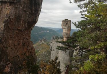 Trail Walking Le Rozier - corniches du Mejean - Photo