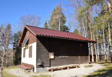 Tocht Te voet Albstadt - Querweg des Schwäbischen Albvereins (rote Raute) - Photo