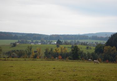 Randonnée Marche Tenneville - RB-Lu-30_Champlon - Photo