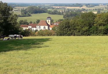 Percorso Marcia Courmangoux - Chevignat-Plain Champs-Mont Verjon  - Photo