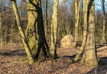 Tocht Te voet Haltern am See - Granat Rundweg A6 - Photo