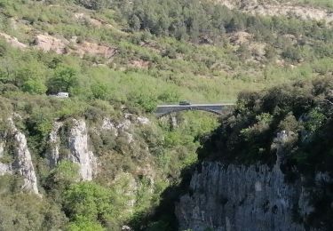Trail Walking Oppedette - gorges d oppedette - Photo