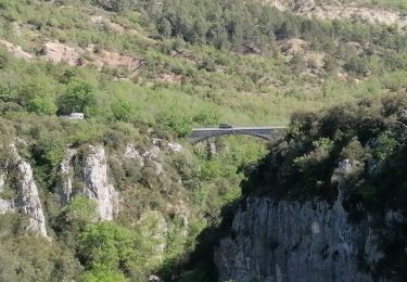 Excursión Senderismo Oppedette - gorges d oppedette - Photo