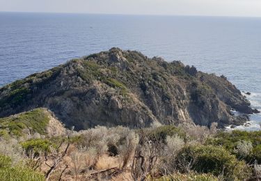 Randonnée Marche La Croix-Valmer - gigaro. CAP taillat, Cap lardier  - Photo