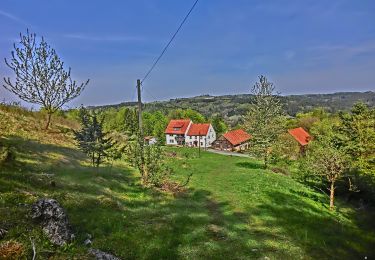 Trail On foot Pottenstein - Rundweg Püttlach-Ruppertshöhe - Photo