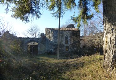 Tour Wandern Saint-Nectaire - la pinarde - Photo