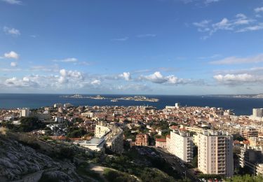 Randonnée Marche Marseille - Sofitel notre dame retour par la cote - Photo