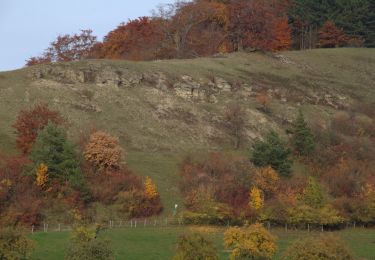 Tocht Te voet Schlüchtern - BUND-Schlüchtern-Rundweg - Hauptroute - Photo