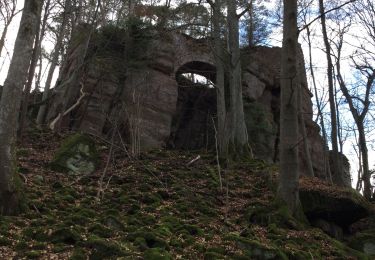 Tour Wandern Ottrott - Klingenthal  bateaux - Photo