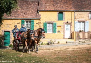 Trail Walking La Madeleine-Bouvet - La Madeleine-Bouvet - Moutiers-au-Perche 9 km - Photo