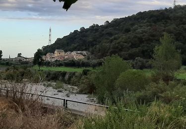 Tour Zu Fuß Albisola Superiore - Luceto - Pian del Pero - Luceto - Photo