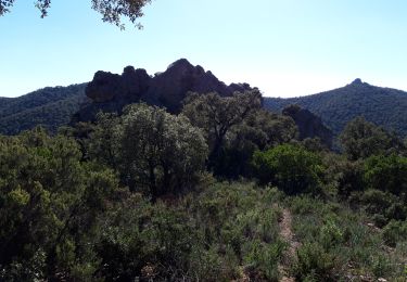 Trail Walking Pierrefeu-du-Var - Pierrefeu-la citadelle-17-02-21 - Photo