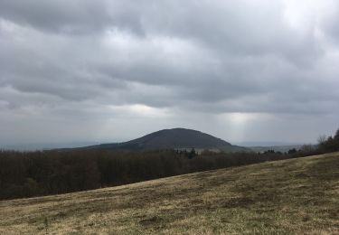 Randonnée A pied Mendig - Vier-Berge-Tour - Photo