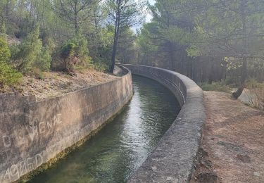 Trail Walking Le Tholonet - Le Tholonet Lac Zola - Photo