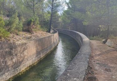 Tocht Stappen Le Tholonet - Le Tholonet Lac Zola - Photo