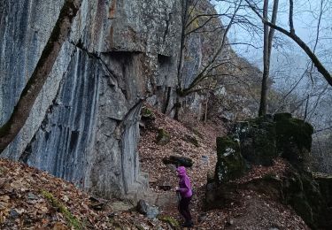 Trail Walking Les Deux Alpes - Le Garcin- Le Ponteil- Bons- La porte Romaine - Photo