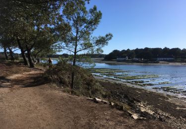 Excursión Senderismo Sarzeau - 2019-09-03 GR34 ENTRE SARZEAU ET LE LOGOS  - Photo