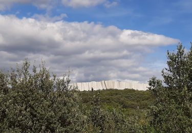 Percorso Marcia Vallon-Pont-d'Arc - Les balcons de l ibie 10/10/19 - Photo