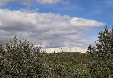 Tour Wandern Vallon-Pont-d'Arc - Les balcons de l ibie 10/10/19 - Photo