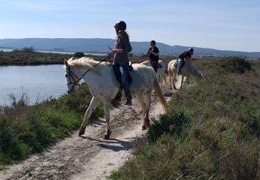 Tocht Hybride fiets Villeneuve-lès-Maguelone - Villeneuve les Magdelonnes - Photo