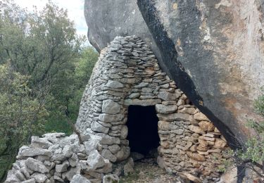 Randonnée Marche Flassan - Borie des Boyers / Bergerie de Callot - Photo