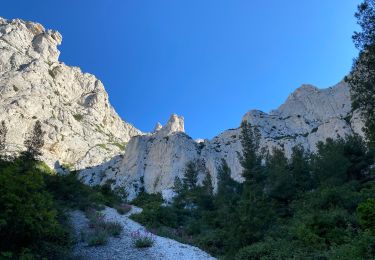 Tour Wandern Marseille - Croix de Marseilleveyre - Photo