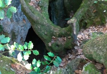 Tour Wandern Solliès-Toucas - les Morieres  Plateau de Signes - Photo