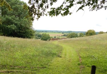 Randonnée Marche Belforêt-en-Perche - la perrière par la forêt  - Photo