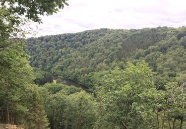 Tour Wandern Herbeumont - RSIH - Herbeumont - Les Crêtes - Photo