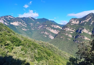 Trail Walking Montagut i Oix - etp41. gr11 - Photo