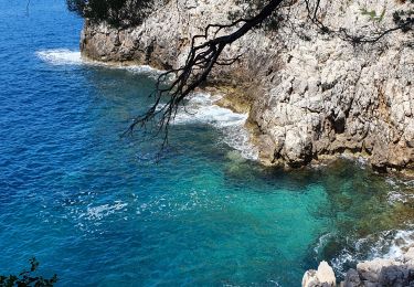 Tour Wandern Saint-Jean-Cap-Ferrat - CAP FERRAT - Photo