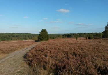 Tour Zu Fuß Buchholz in der Nordheide - Wanderweg 1 Buchholz - Photo