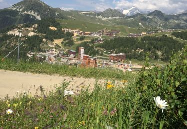 Randonnée V.T.T. La Plagne-Tarentaise - La Chapelle de Boselet - Photo