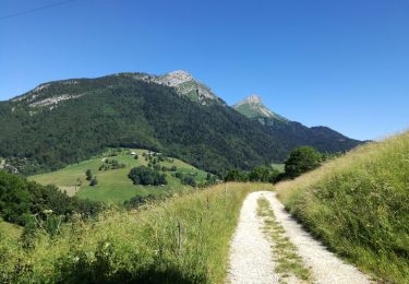 Tour Wandern Aillon-le-Jeune - MONT PELAT boucle - Photo