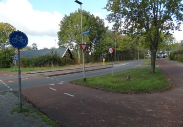 Tour Zu Fuß Assen - Rondje Marsdijk Zuid - Photo