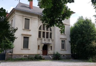 Tour Wandern Barcelonnette - PROMENADE A BARCELONNETTE  - Photo