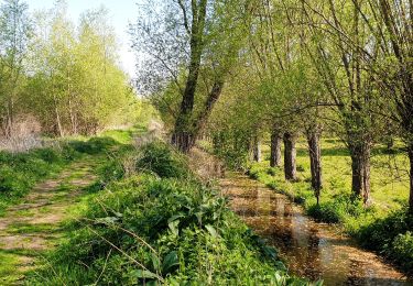 Trail Walking Grez-Doiceau - Pécrot - Photo