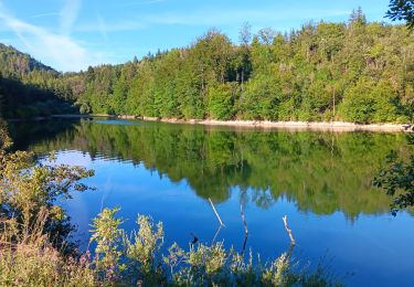 Trail Walking Ravilloles - lacde Ravilloles - Photo