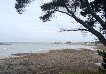 Tocht Noords wandelen Plouezoc'h - le durduff le guerzit - Photo