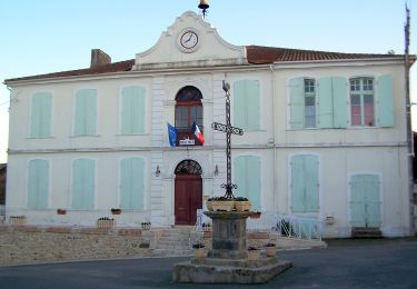 Percorso A piedi Puch-d'Agenais - Puch-d’Agenais, dans les terrasses de Garonne - 6.2km - Photo