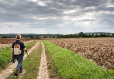 Percorso Marcia Bellême - Bellême - Igé 7,8 km - Photo