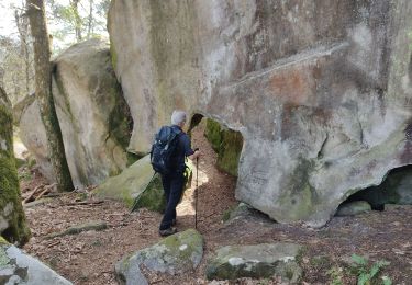 Percorso Marcia Fontainebleau - L'inspecteur général - Photo