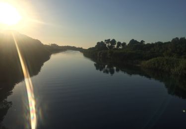 Tocht Te voet Antas - Casa Azenha Branca Trilho das Azenhas das Antas - Photo