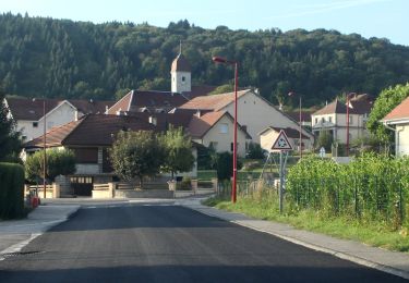 Trail On foot Nancray - Sentier du Tour des Landes - Photo