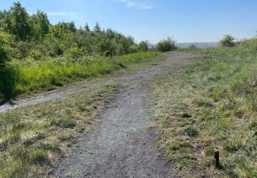 Trail Walking Charleroi - Adeps Monceau partie  2 20 kms - Photo